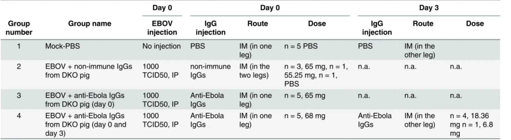 Table 1. Design of the experimental procedures.