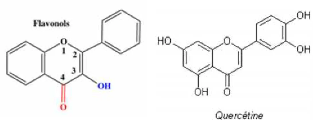 Figure II-3: Structures chimiques de la flavonols.
