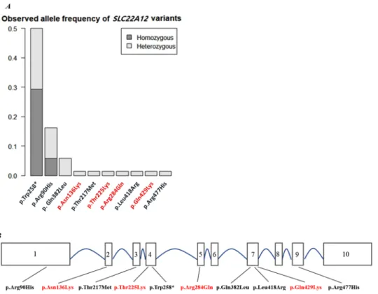 Figure 2. (A) Allele frequency distribution in SLC22A12 variants from KoGES cohorts (n  =  31)
