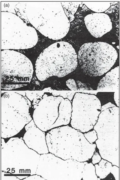 Figure 3.1  Photomicrographs showing intergranular pressure solution (IPS) in a sand- sand-stone