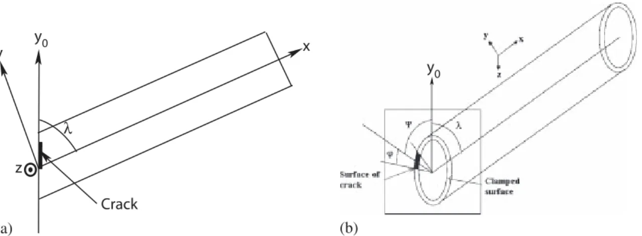 Figure 3. Geometry of the cracked tube.