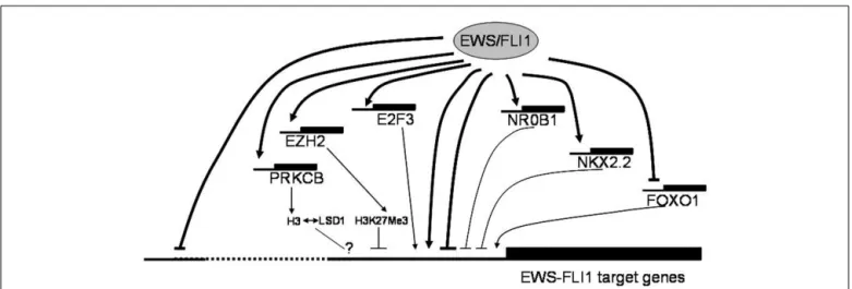 FIGURE 1 | Putative mechanisms of EWS-FLI1 mediated gene regulation discussed at the Ewing sarcoma summit