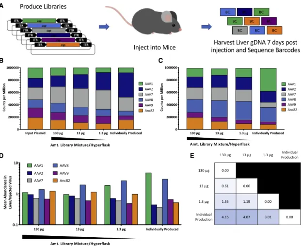 Figure 7. Dilution of Input Capsid DNA Results in Higher Quality Multiplexed Libraries