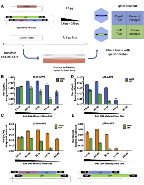 Figure 2. Dilution of Input Library Reduces Incidence of Cross-Packaging