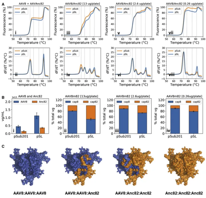 Figure 3. Study of Capsid Mosaic Formation in AAV8/Anc82 Library Preps