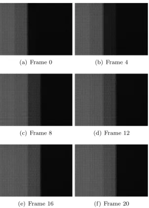 Figure 6: CCD camera frames (224 × 160 pixels) taken during one period of the display frame rate.