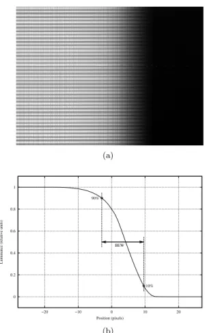 Figure 8: Displayed (a) and perceived (b) stimulus for an horizontal movement from left to right.