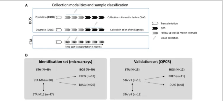 FigUre 1 | Experimental design. (a) Collection modalities and sample classification. For bronchiolitis obliterans syndrome (BOS) patients, two classes of samples  were defined depending on the time between blood collection and BOS diagnosis: a prediction c