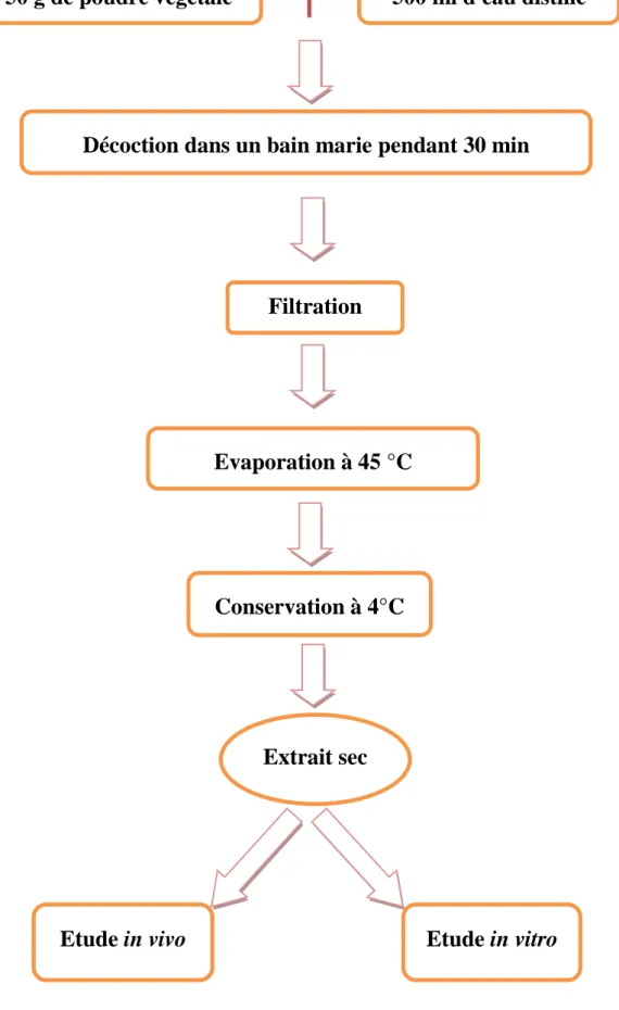 Figure 9 : Protocole de préparation d’extrait aqueux (Kaneria et al., 2012)