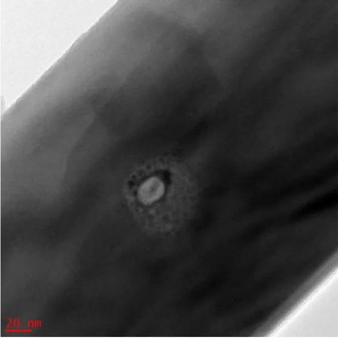 Figure 2.3. Bright field image of damage caused on amosite fiber after an EDS analysis  of 60 s at a current density of 354 A/cm 2  shown in Figure 2.2b