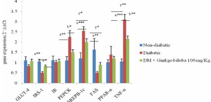 Fig 1. Effect of Ginkgo biloba Leaves extract (GBE) on mRNA gene expression of Glucose transporter-4 (GLUT- (GLUT-4),  Insulin  receptor  substrate-1  (IRS-1),  Insulin  receptor  (IR),  Phosphoenolpyrovate  carboxykinase (PEPCK),  Sterol  regulatory  elem