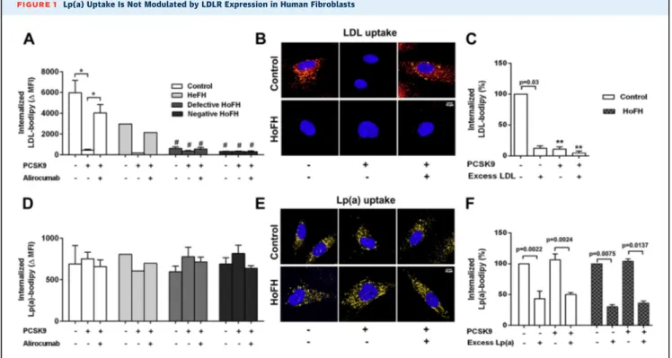FIGURE 1 Lp(a) Uptake Is Not Modulated by LDLR Expression in Human Fibroblasts