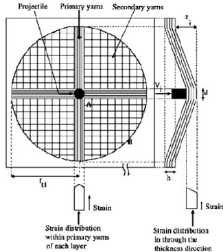 Figure 1.7 : Formation du cône sur la face arrière d’un composite impacté [26] 