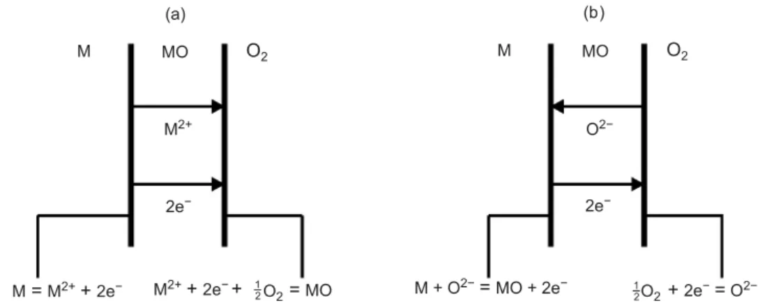 Figure 2.1 – Réactions aux interfaces et mécanismes de transport dans l’oxyde lors de l’oxydation à haute température : (a) lorsque la diffusion est cationique et (b) lorsque la diffusion est anionique [12].