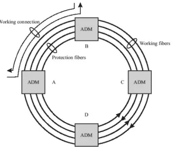 Figure 2.2: A four-fiber bidirectional line-switched ring. Source: [95].