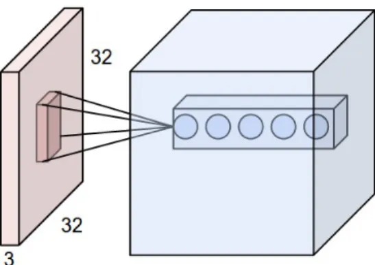 Fig. 1.4. An example of an input image in red, and an example of a set of neurons in a kernel in blue