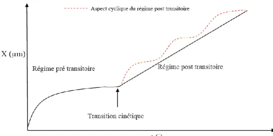 Figure 1.9 : Courbe générale d’évolution de l’épaisseur au cours du temps lors de l’oxydation des alliages de  zirconium