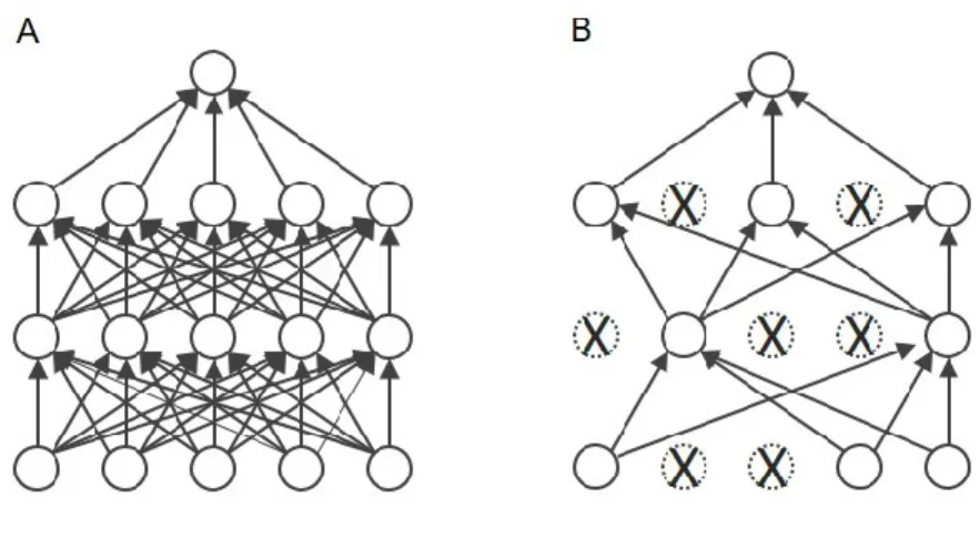 Figure 1.16  (A)  Réseau  neuronal  standard,  où  aucun  mécanisme  de  régularisation  n’est  appliqué