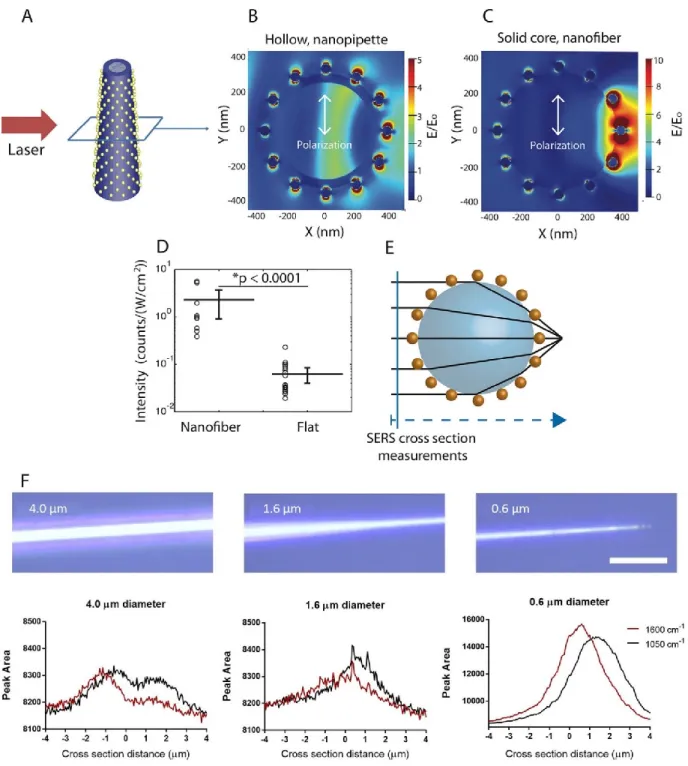 Figure 1.20  Performance SERS de nanofibres décorées de nanosphères d’or adsorbées sur un  copolymère bloc