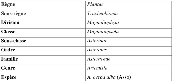 Tableau 2Classification de Artemisia herba-alba (BOUDJALAL , 2013) 