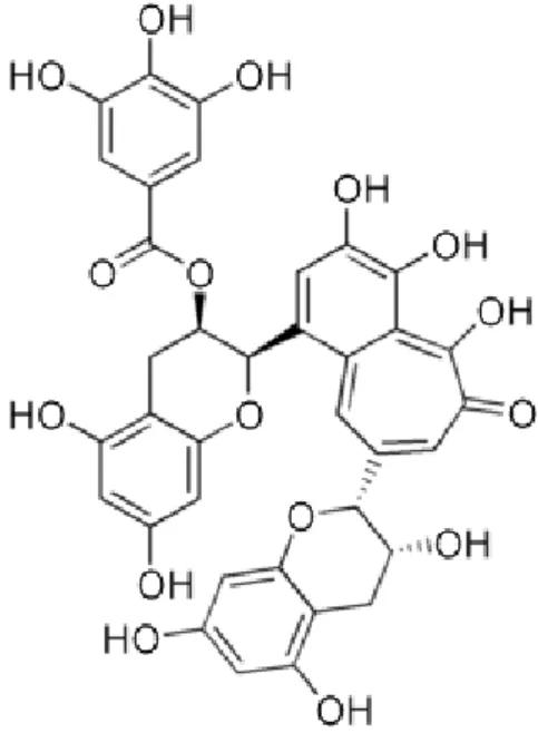 Figure 11La structure chimique d'un polyphénol 