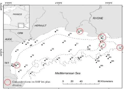 Figure I.11 : Aire d’étude et stations de prélèvement de Bouloubassi et al. (2012) – Concentrations  en HAP élevées dans la zone pro deltaïque 
