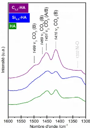 Figure 17 : Spectres IR des poudres de référence HA, Si 0,5 -HA et C 0,5 -HA calcinées à 400°C  pendant 2 h (poudre brute) - domaine  3  CO 3 