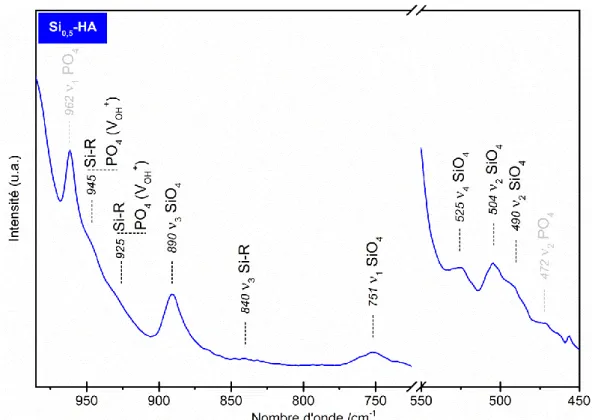 Figure 21 : Spectre IR de la poudre de référence Si 0,5 -HA calcinée sous air à 1000°C pendant  15 h - domaines SiO 4 