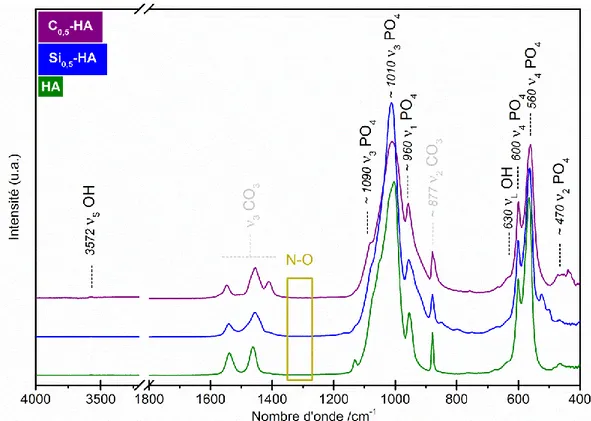 Figure 22 : Spectres IR des poudres de référence HA, Si 0,5 -HA et C 0,5 -HA calcinées sous CO 2  à  1000°C pendant 1 h