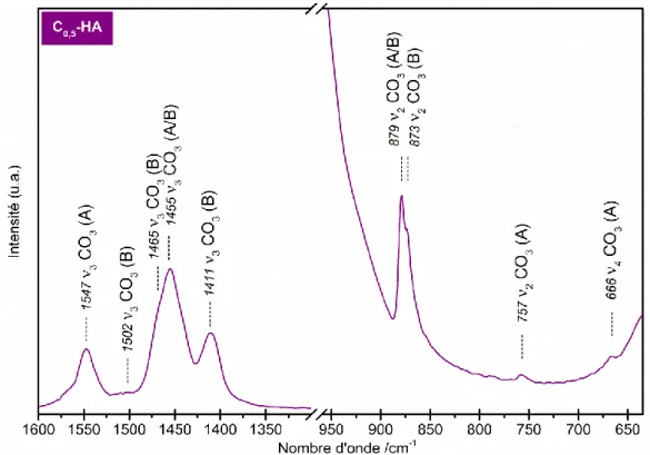 Figure 23 : Spectre IR de la poudre de référence C 0,5 -HA calcinée sous CO 2  à 1000°C pendant  1 h - domaines CO 3 