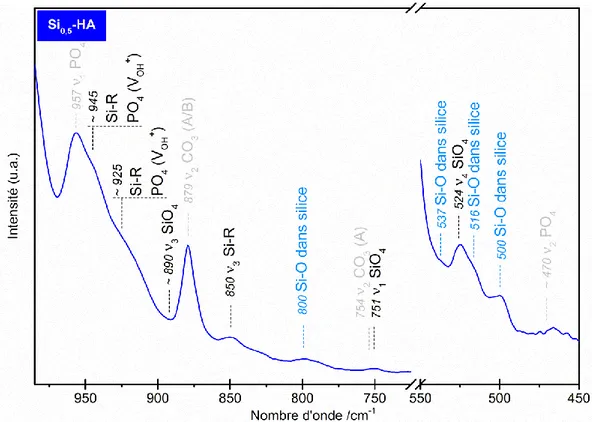 Figure 25 : Spectre IR de la poudre de référence Si 0,5 -HA calcinée sous CO 2  à 1000°C pendant  1 h - domaines SiO 4 