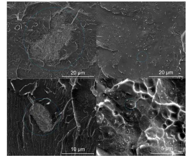 Figure 51 : SEM topography micrographs: influence of the process on SPs  dispersion/distribution into the composite 