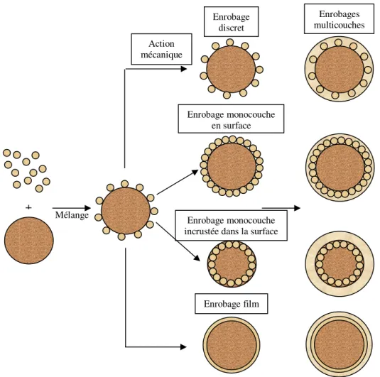 Figure 2 : Mécanismes de formation des différents enrobages en voie sèche 