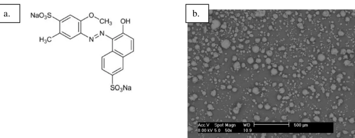Figure 35 : a. Structure chimique du colorant Allura Red E129 (Honma, 2015). b. Photographie MEB du  colorant 