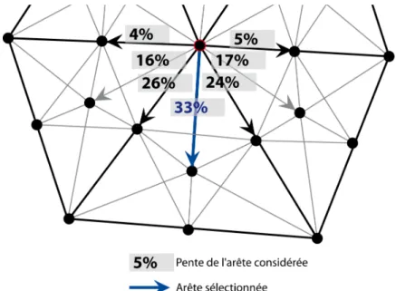 Figure 42: Sélection des arêtes de l'arbre de drainage 