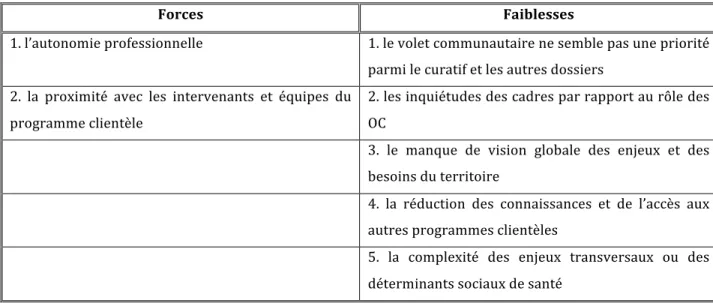 Tableau 10 - Forces et faiblesses d’une direction par programme-clientèle  