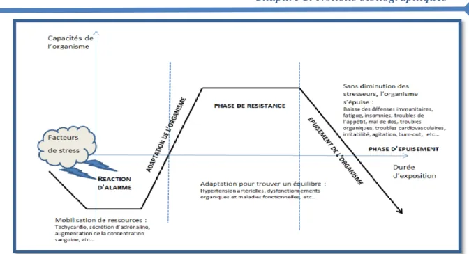 Figure 01: Courbe représente les trois phases du Syndrome Général d’Adaptation  (SGA) 