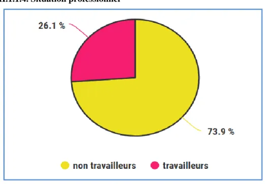 Figure 09: Répartition de la population étudiée en fonction de situation  professionnelle