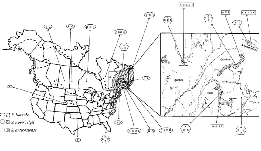 Figure 3.1  Geographical and ribotype distribution of the three species under study. Dashed lines, diagonallines and darked-gray regions indicate  the distribution of  S