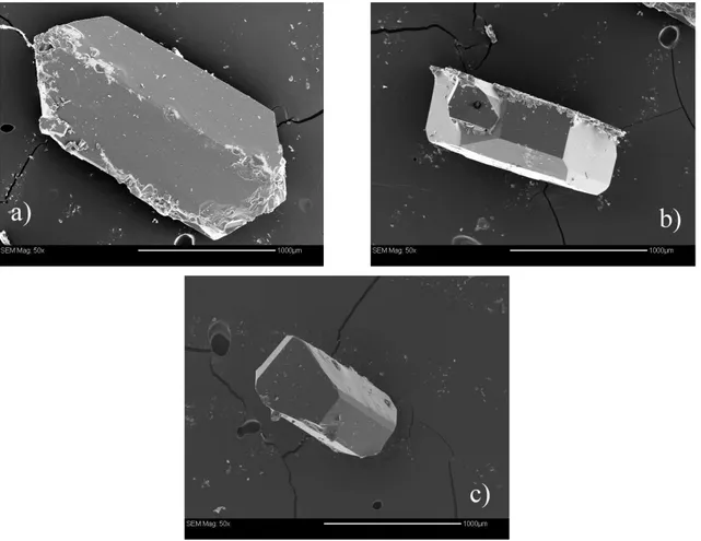 Figure 2.12 : Image en microscopie électronique à balayage de trois monocristaux de Li 2 SO 4 ,H 2 O
