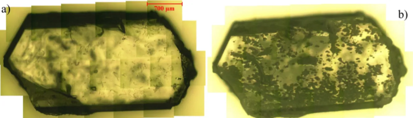 Figure 2.19 : Images en microscopie optique d’un monocristal de Li 2 SO 4 ,H 2 O                                                  a) avant déshydratation, b) à α=0,047