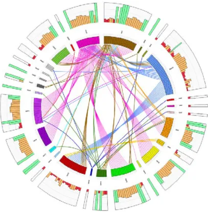 Figure 2.1: Using Circos to visualise inappropriate email circulation on a corporate network [34]