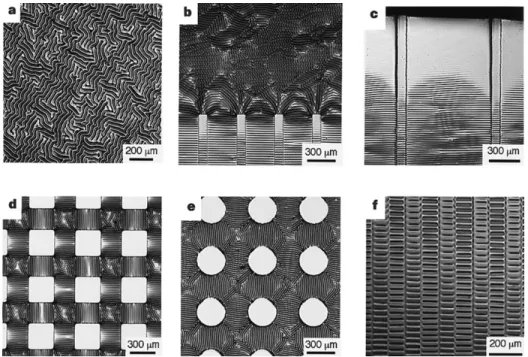 Figure 14: Micrographs of metallic thin film buckled, induced by heating. a) Metal evaporated on PDMS  heated at 110°C