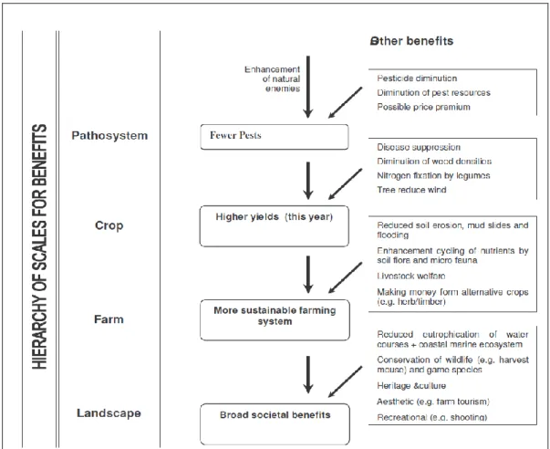 Figure 2 : Hiérarchie des bénéfices potentiels de la biodiversité agricole (Gurr et al., 2003)