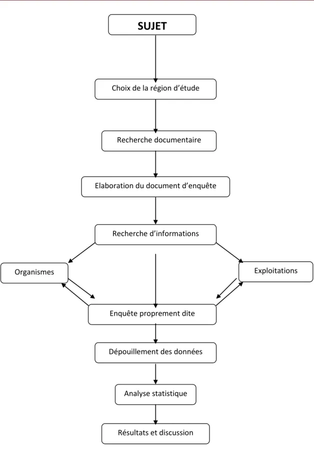 Figure 3 : Schéma méthodologique de l’étude. 