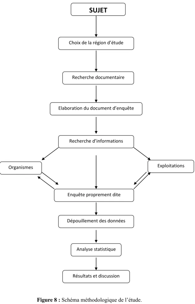 Figure 8 : Schéma méthodologique de l’étude. 