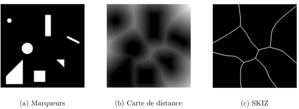 Figure 4.4 – (a) Marqueurs, (b) carte de distance des marqueurs et (c) SKIZ des marqueurs : les bords des cellules ne sont plus des segments de droites.