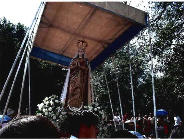 Figure 1  Our Lady ofOcotiaD on her Htter at the Bajada. 