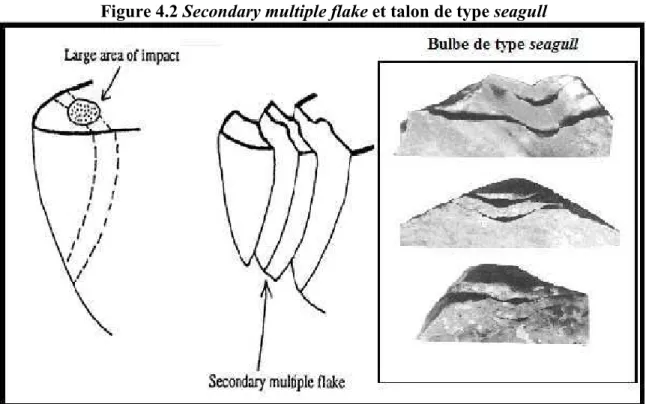 Figure 4.2 Secondary multiple flake et talon de type seagull 