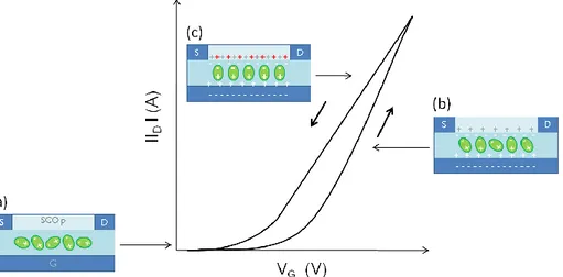 Figure 20 : Hystérésis causée par une polarisation lente du diélectrique, (a) transistor à l’état off, (b) lente  réorientation des dipôles mobiles sous l’effet du champ dû à la grille, (c) accumulation supplémentaire de 